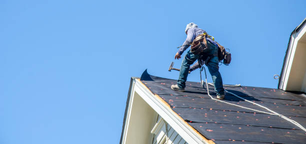 Best Metal Roofing Contractor  in Douglass, KS